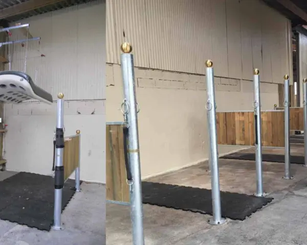 Aménagement d'une **dimension aire de pansage chevaux** avec tapis antidérapants et poteaux de contention. Un système de levage est visible.