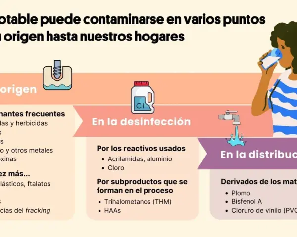 Infografía sobre los principales contaminantes del agua: origen, desinfección y distribución. Incluye pesticidas, metales, microplásticos, cloro y plomo.