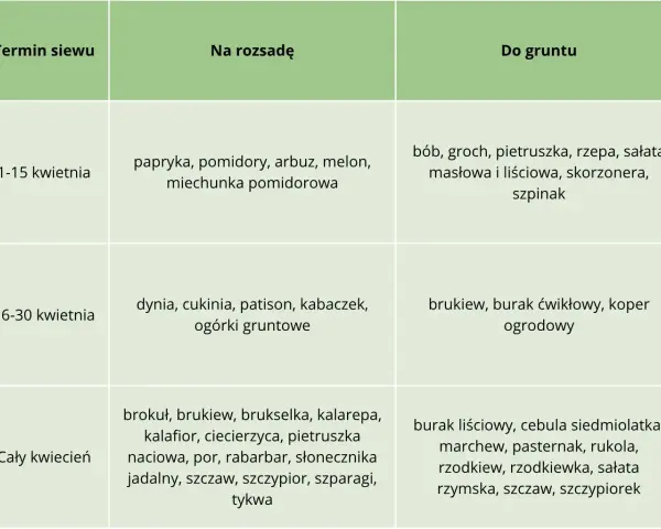 Tabela podpowiada, co siać w kwietniu do gruntu: bób, groch, rzepę, sałatę, szpinak (1-15 kwietnia), brukiew, buraka, koper (16-30 kwietnia) i wiele innych warzyw przez cały miesiąc.