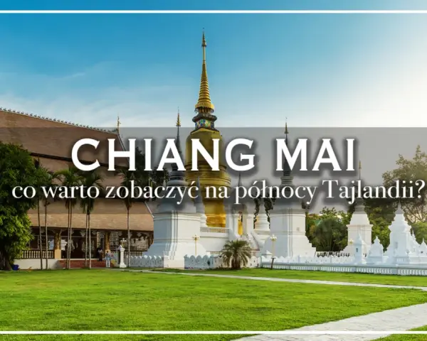 Złota pagoda i białe stupy w Chiang Mai, co warto zobaczyć na północy Tajlandii? Piękny, zielony trawnik i błękitne niebo.