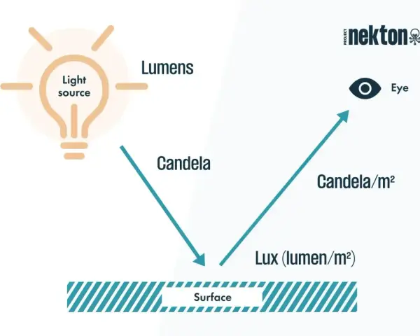 Schemat wyjaśnia, jak światło z żarówki (lumeny) pada na powierzchnię, tworząc natężenie oświetlenia w luksach (lumenów na m²), które dociera do oka.