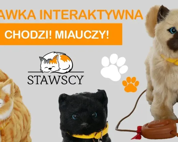 Gdzie kotek ma? Odkryj radość i zabawę w tej interaktywnej książce
