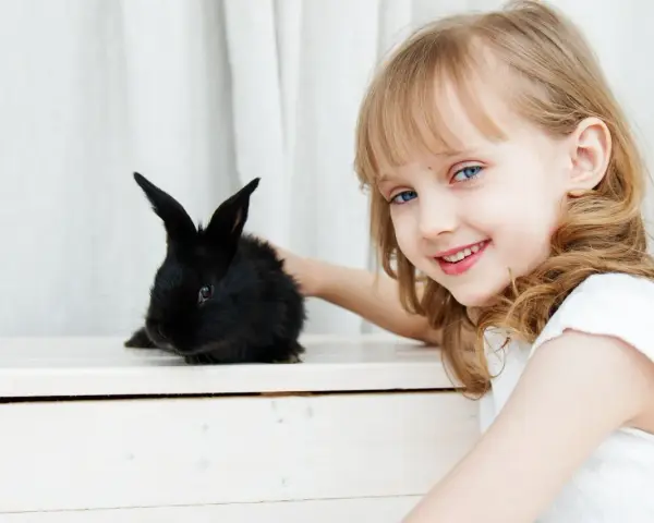 Uśmiechnięta dziewczynka z niebieskimi oczami głaszcze czarnego królika. Który ssak się nie poci? Królik, jak każdy ssak, poci się, ale inaczej niż ludzie.