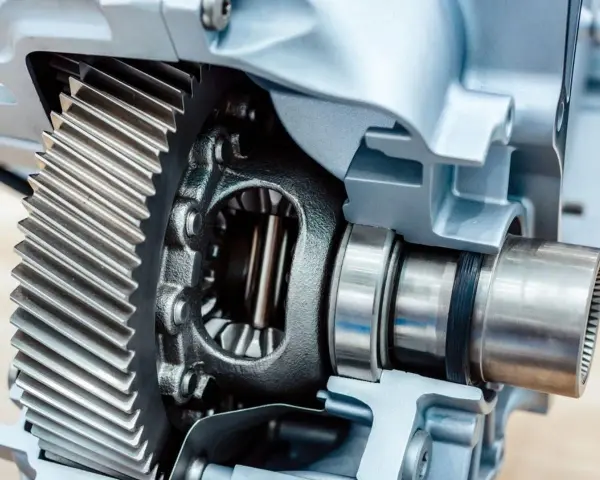 Sezione di un differenziale con ingranaggi metallici e cuscinetti.