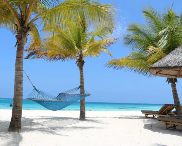 Błękitna hamak między palmami na piaszczystej plaży, z leżakami i oceanem w tle. Idealne miejsce na relaks w Zanzibarze.