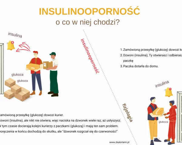 Ilustracja wyjaśnia hiperinsulinemię: kurierzy z glukozą czekają, a insulina (dzwonek) nie działa.