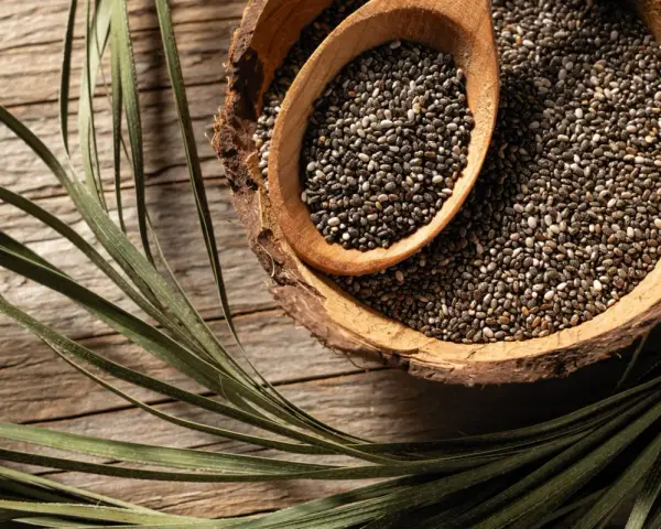 Graines de chia dans une écorce de noix de coco, une cuillère en bois remplie de ces petites graines. Un aliment idéal pour une femme enceinte.