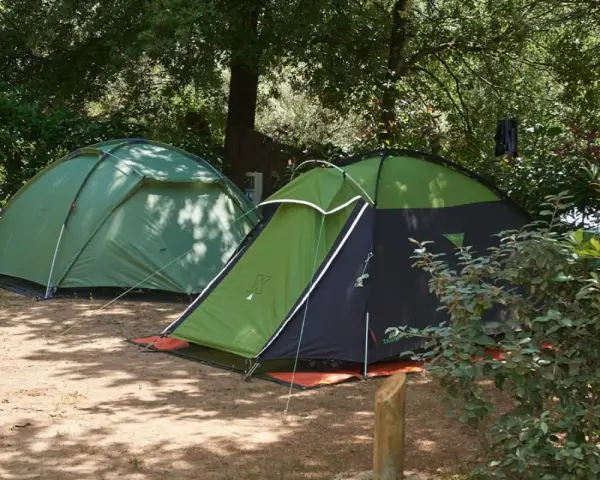 Dwie zielone namioty na piaszczystym podłożu, otoczone drzewami. Idealne miejsce na korsyka camping.