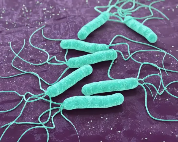 Helicobacter pylori w ustach: 7 objawów, których nie znasz