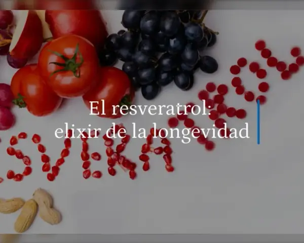 Uvas, tomates, arándanos y granadas forman la palabra "Resveratrol", destacando alimentos con resveratrol, el elixir de la longevidad.