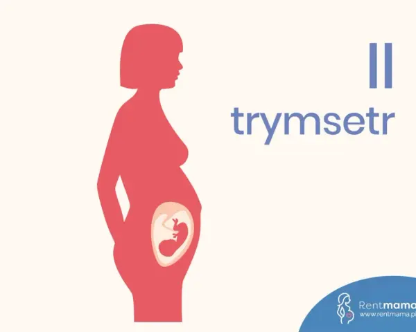 Sylwetka kobiety w ciąży z widocznym płodem. Napis "II trymestr" informuje o tym etapie.