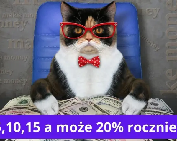 Kot w okularach i muszce siedzi za stosem dolarów. Czy można zarobić na funduszach inwestycyjnych 5, 10, 15, a może 20% rocznie?