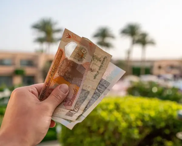 Dłoń trzyma egipskie funty. Czy w Egipcie można płacić euro? Lepiej mieć lokalną walutę, by uniknąć problemów.