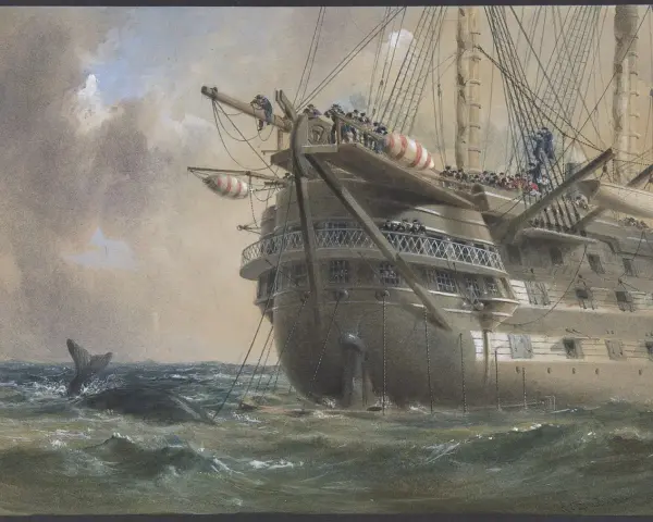Un navire historique, peut-être celui du premier câble transatlantique, navigue en mer. Une baleine surgit des vagues.