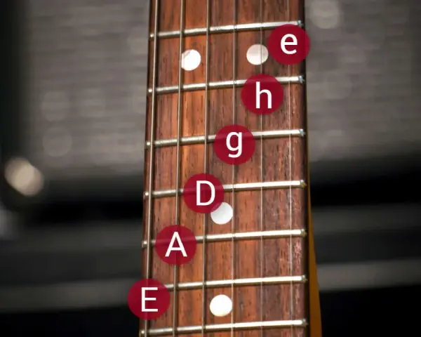 Gitarrenhals mit e-Bass beschriftung. Noten E, A, D, G, H, e sind auf den Saiten markiert.