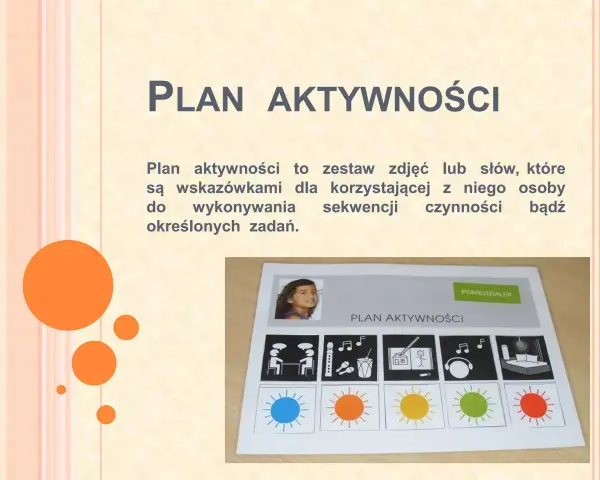 Indywidualny plan pracy z dzieckiem z autyzmem: wizualny harmonogram z ikonami i zdjęciem dziecka.