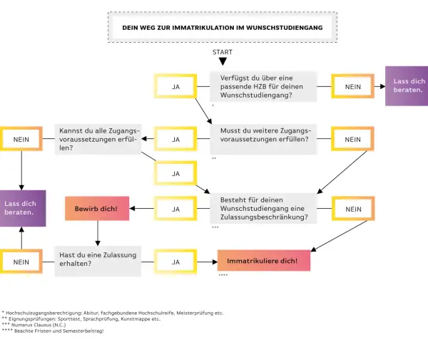 Flussdiagramm zum Auswahlverfahren der Hochschule: Prüft HZB, Zugangsvoraussetzungen und Zulassungsbeschränkungen für die Immatrikulation.