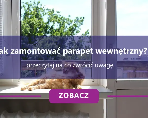 Pomarańczowy kot leży na parapecie wewnętrznym, obok rośliny.
