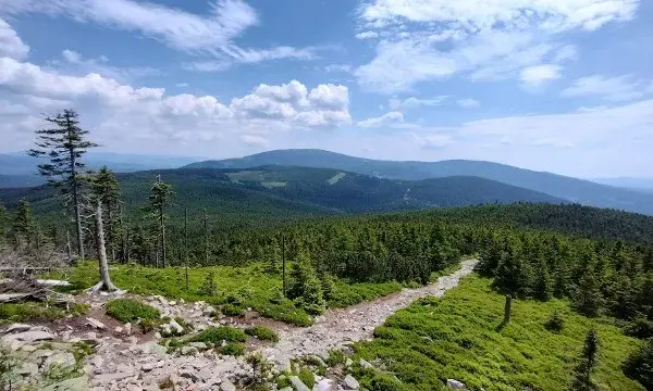 Którym szlakiem na Śnieżnik? Najlepsze trasy na szczyt dla każdego