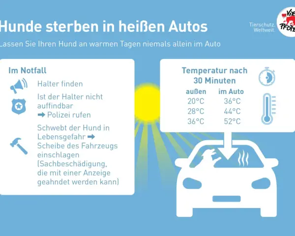 Hunde sterben in heißen Autos. Lassen Sie Ihren Hund niemals allein im Auto. Die Temperatur steigt schnell an und wird zur tödlichen Gefahr.