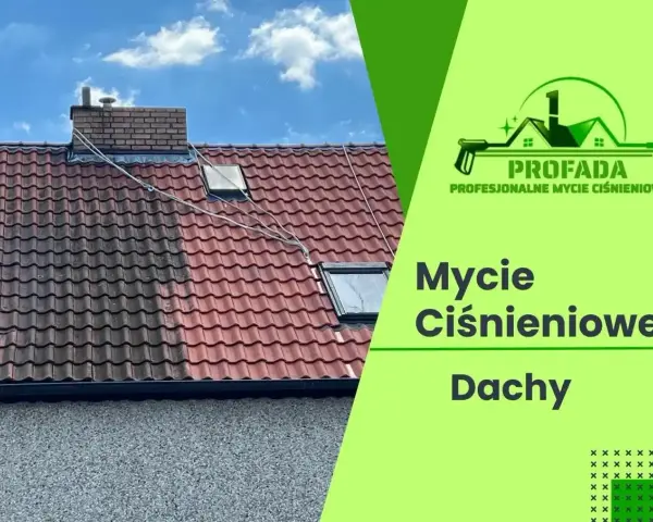 Profesjonalne mycie dachu ciśnieniowe. Efekt czystej dachówki po zabiegu.