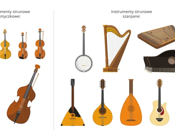 Instrumenty strunowe smyczkowe i szarpane: skrzypce, altówka, wiolonczela, kontrabas, harfa, banjo, gitary, mandolina, bałałajka, cymbały.