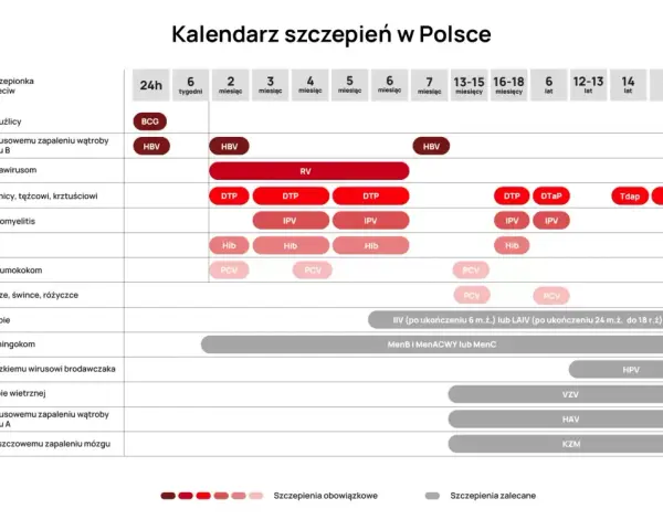 Szczepionki na NFZ czy skojarzone: co wybrać dla swojego dziecka?