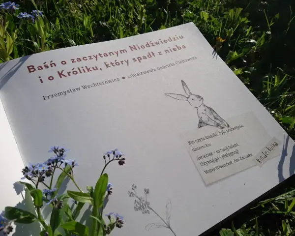 Otwarta książka z tytułem "Baśń o zaczytanym Niedźwiedziu i o Króliku, który spadł z nieba" leży na trawie wśród niezapominajek.