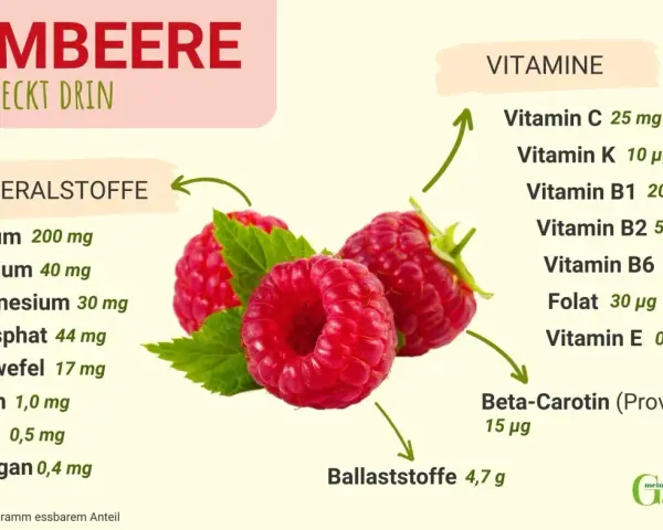 Himbeeren sind gesund! Sie enthalten viele Vitamine wie C, B1, B2, B6, Folat, E und Beta-Carotin, sowie Mineralstoffe und Ballaststoffe.
