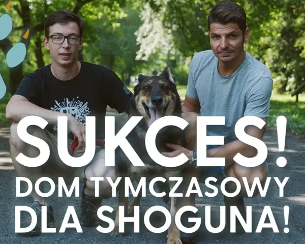 Dwóch mężczyzn i pies w parku. Napis "SUKCES! DOM TYMCZASOWY DLA SHOGUNA!" sugeruje udaną adopcję.