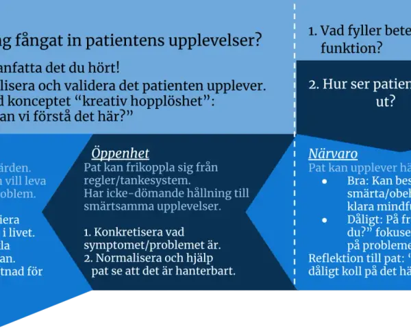 Bedömning av patientens upplevelser: Engagemang, öppenhet och närvaro. Fokus på att förstå och validera patientens situation, med en fokuserad act för att hantera problem.