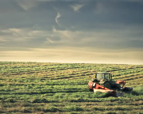 Traktor kosi trawę na polu. To obraz dziedziczenia ziemi rolnej po rodzicach, symbol kontynuacji tradycji i ciężkiej pracy.