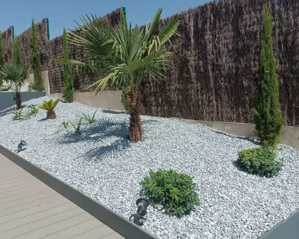 Jardines modernos con césped artificial y piedras blancas, palmeras, cipreses y plantas suculentas.