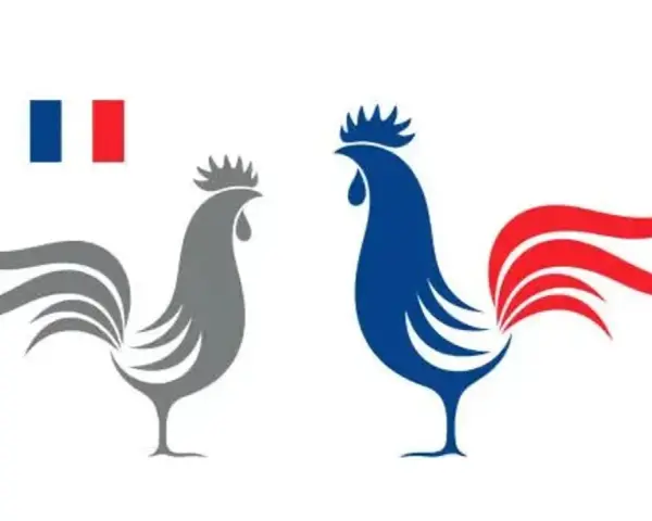 Dos gallos estilizados, uno gris y otro azul con cola roja, junto a la bandera francesa. El gallo es el animal nacional de Francia.