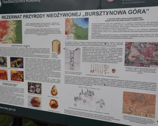 Rezerwat przyrody "Bursztynowa Góra" to miejsce, gdzie można podziwiać ślady dawnej eksploatacji bursztynu.