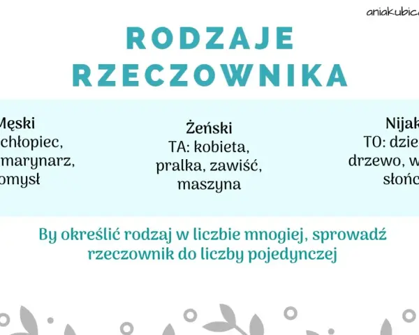 Rodzaje rzeczownika: męski (ten), żeński (ta), nijaki (to). Jakie pytania pomogą określić rodzaj?