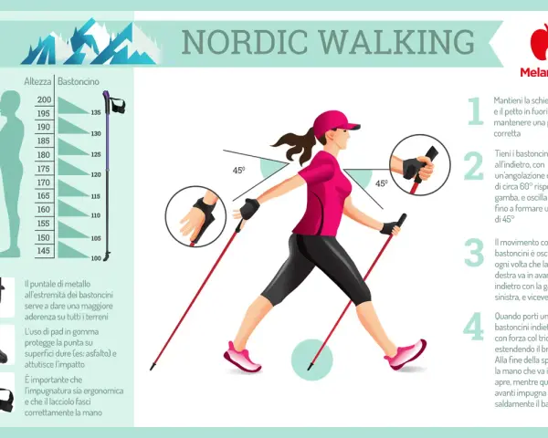Guida illustrata su cos'è il nordic walking: postura corretta, uso dei bastoncini e movimento oscillatorio.
