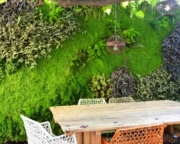 Un jardín vertical exuberante, con un diseño que recuerda al moss graffiti, crea un telón de fondo natural para una mesa de madera y sillas coloridas.