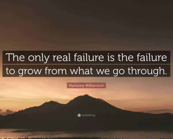 The only real failure is the failure to grow from what we go through. Marianne Williamson.