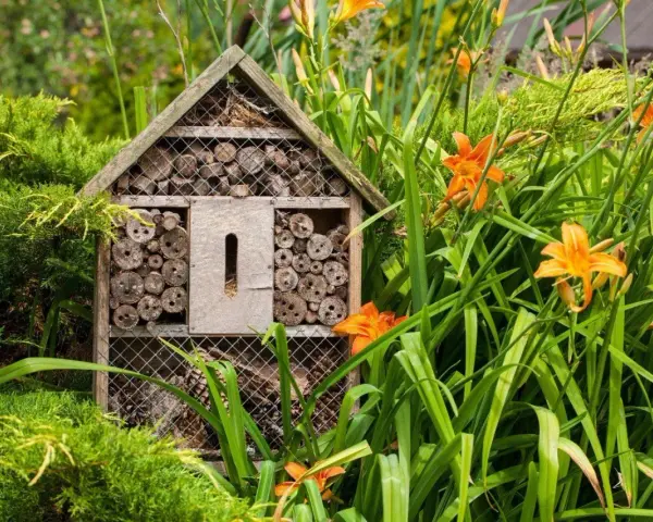 Ett insektshotell i trä, fyllt med träbitar och bamburör, står i en lummig trädgård bland gröna blad och orange liljor. En perfekt insektshotell placering för att locka pollinerare.