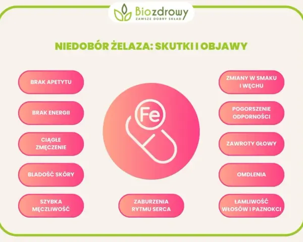 Niedobór żelaza objawia się brakiem apetytu, energii, bladością skóry, łamliwością włosów i paznokci.