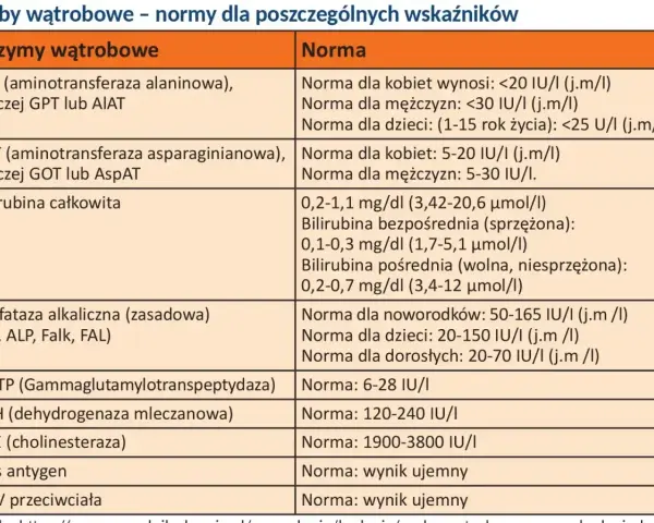 Tabela norm prób wątrobowych. Podwyższone GGTP może wskazywać na problemy z wątrobą.