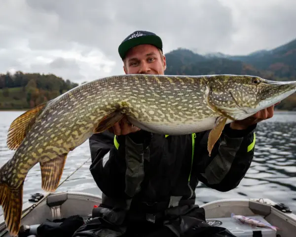 Glücklicher Angler hält stolz einen großen Hecht im Boot. Ein erfolgreicher Tag auf Hecht angeln!