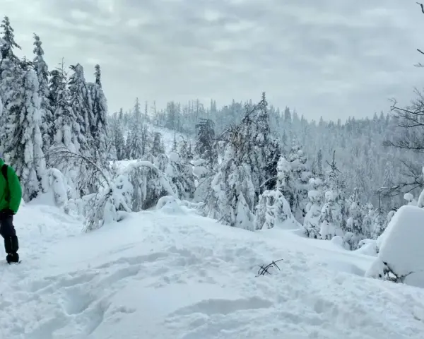 Chłopiec w zielonej kurtce przemierza zasypany śniegiem Beskid Mały. Drzewa pokryte grubą warstwą puchu tworzą zimowy krajobraz.
