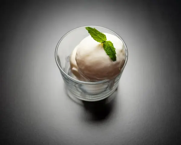 Zwei Kugeln cremiges Joghurteis, garniert mit frischer Minze, perfekt für das Joghurteis selber machen.