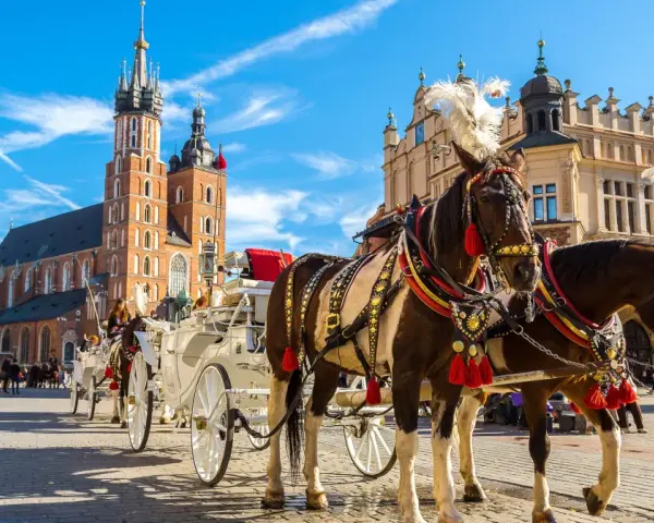 Kraków zaprasza! Konne przejażdżki po Rynku Głównym, podziwiając Bazylikę Mariacką i Sukiennice. To idealne miejsce, by poczuć atmosferę miasta i zobaczyć, co można zwiedzić w Krakowie.