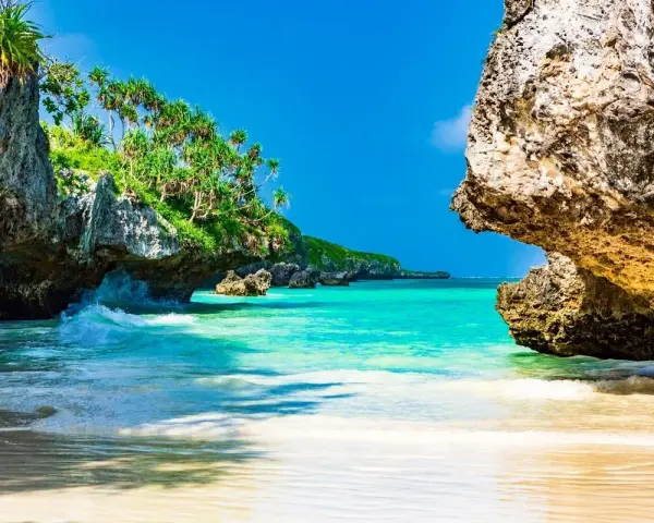 Rajska plaża z turkusową wodą i bujną zielenią. Idealne miejsce na wymarzone zanzibar wakacje.