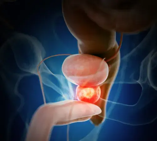 Dopuszczalna wielkość prostaty: co powinieneś wiedzieć o normach zdrowotnych