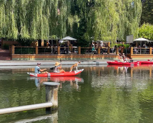 Ein Hund steht auf einem Kajak am Neuendorfer See, während Menschen im Wasser paddeln. Im Hintergrund eine Terrasse mit Gästen.