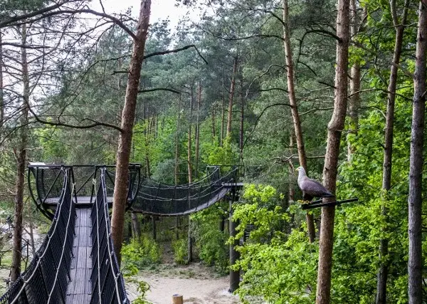Atrakcje pod Warszawą: Idealne miejsca na weekend i jednodniowe wypady